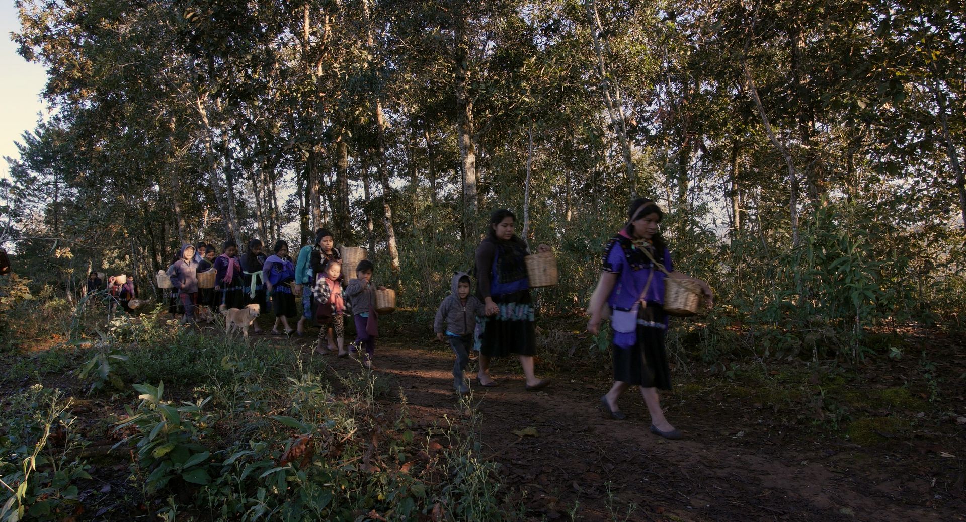 FICM2024: “Li Cham”: Retrato de Mujeres Tsotsiles en la Lucha por la Autonomía | Cinespoilers México